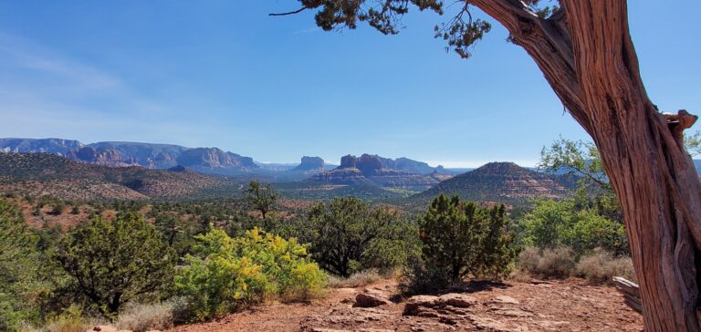 Desert Red Rock View