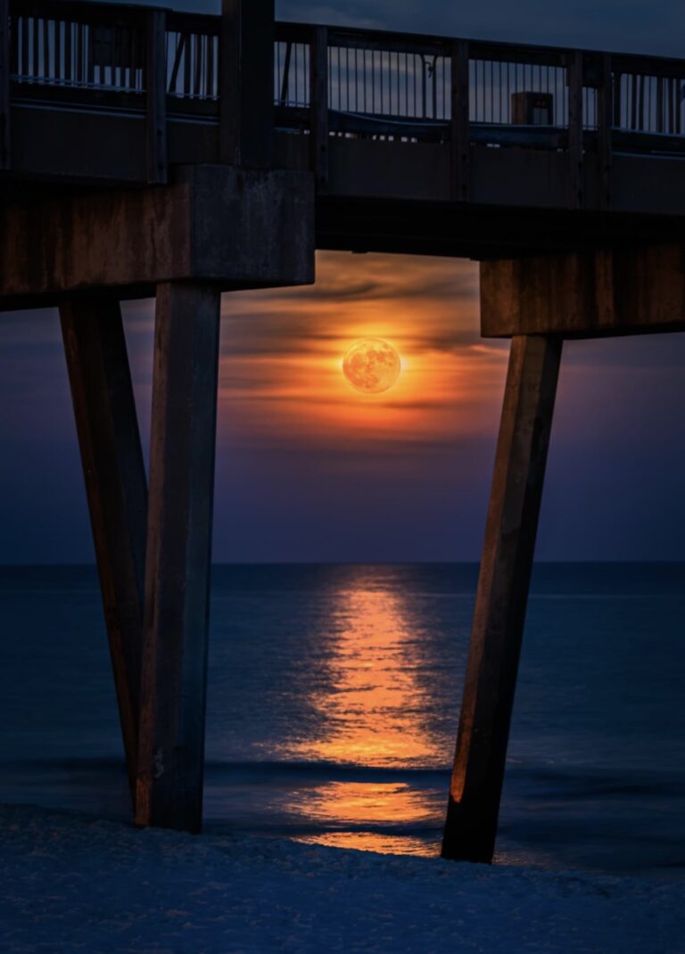 Under the Board Walk